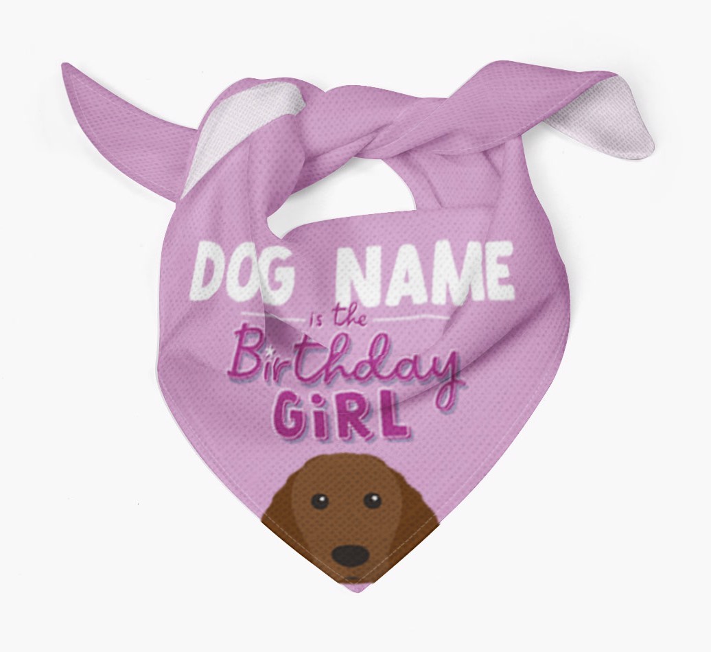 Birthday Girl: Personalized {breedFullName} Bandana