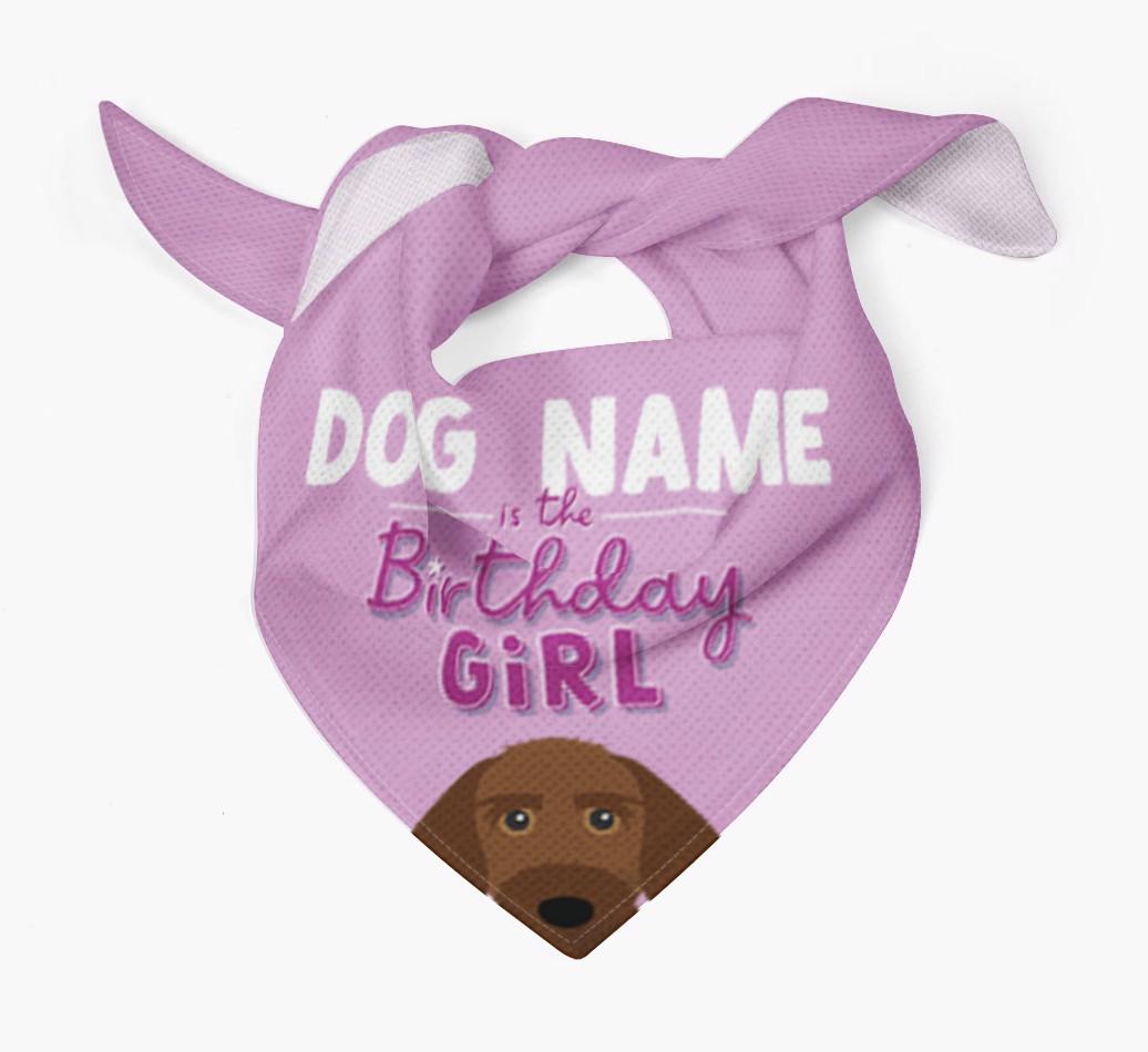 Birthday Girl: Personalized {breedFullName} Bandana