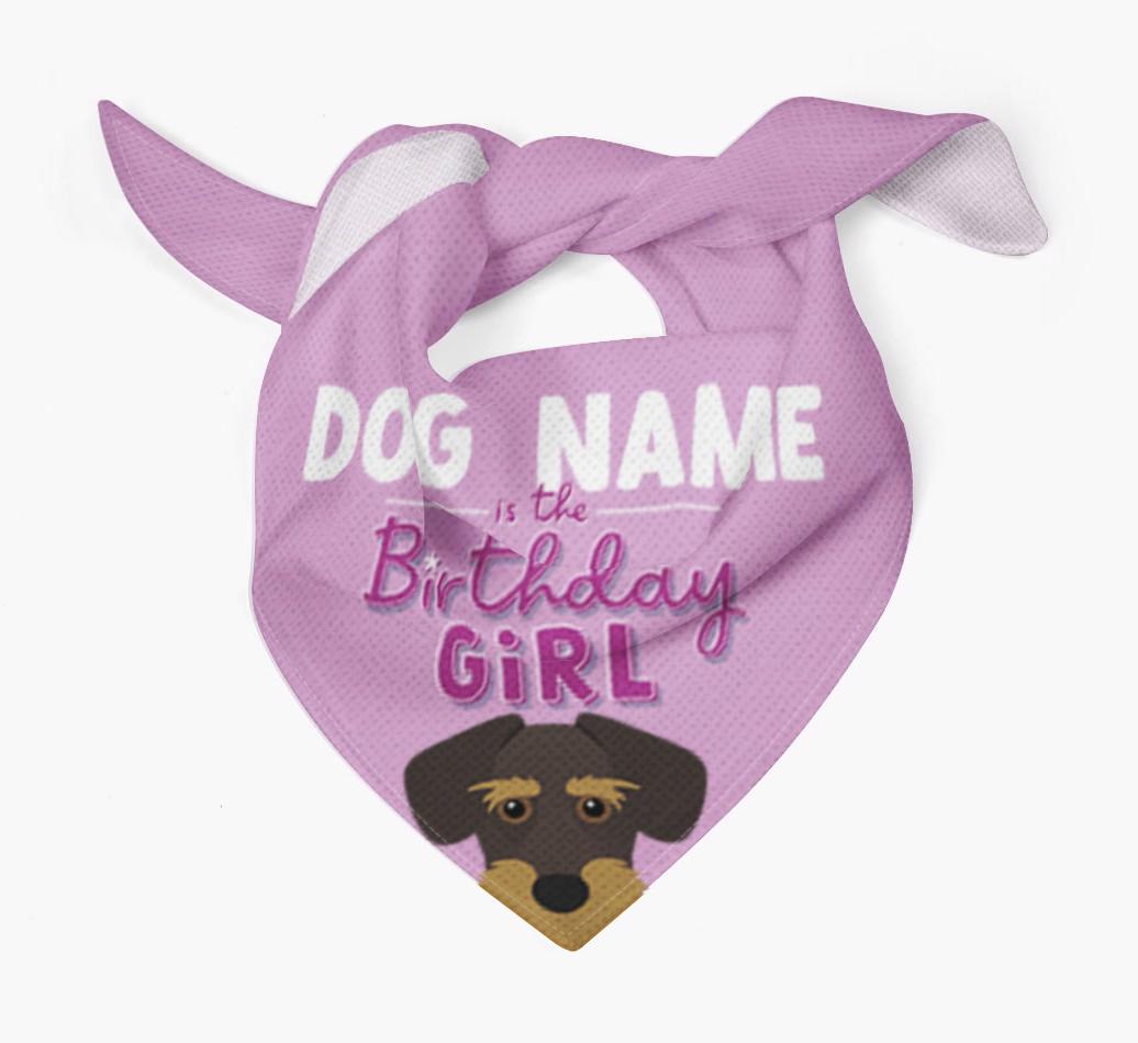 Birthday Girl: Personalized {breedFullName} Bandana