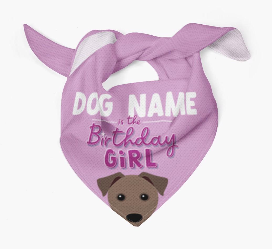 Birthday Girl: Personalized {breedFullName} Bandana