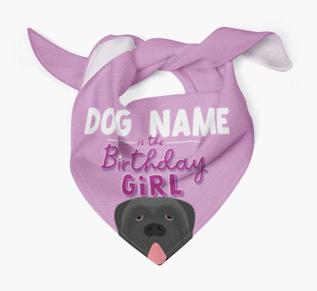 Birthday Girl: Personalized {breedFullName} Bandana