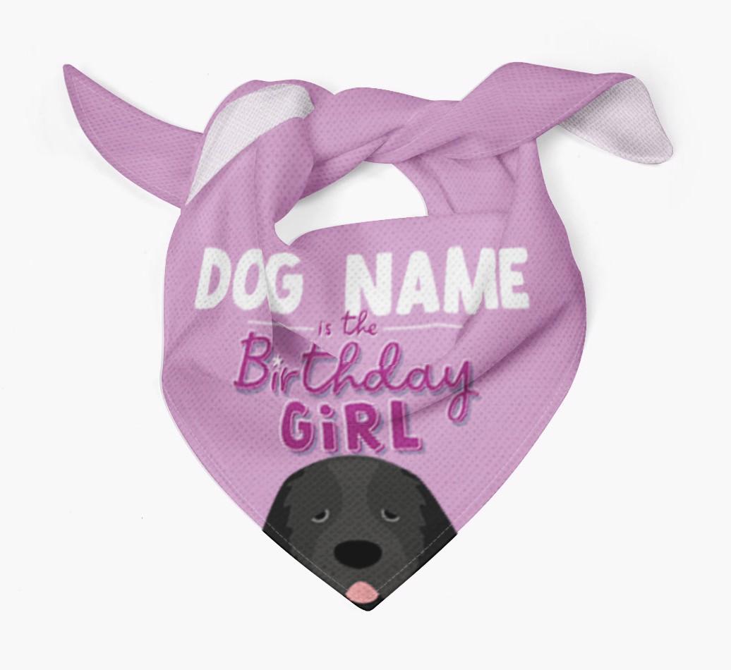 Birthday Girl: Personalized {breedFullName} Bandana