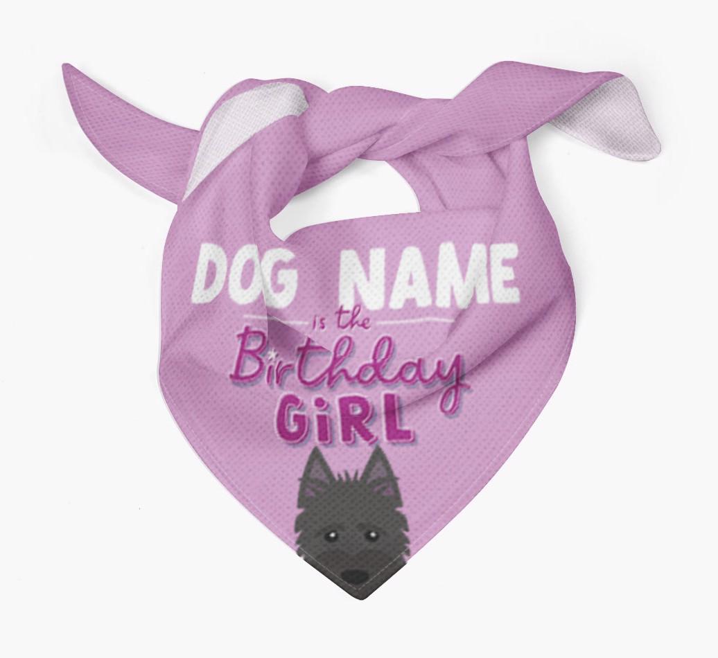 Birthday Girl: Personalized {breedFullName} Bandana