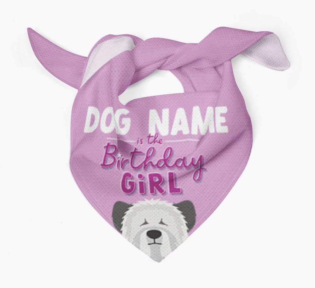 Birthday Girl: Personalized {breedFullName} Bandana