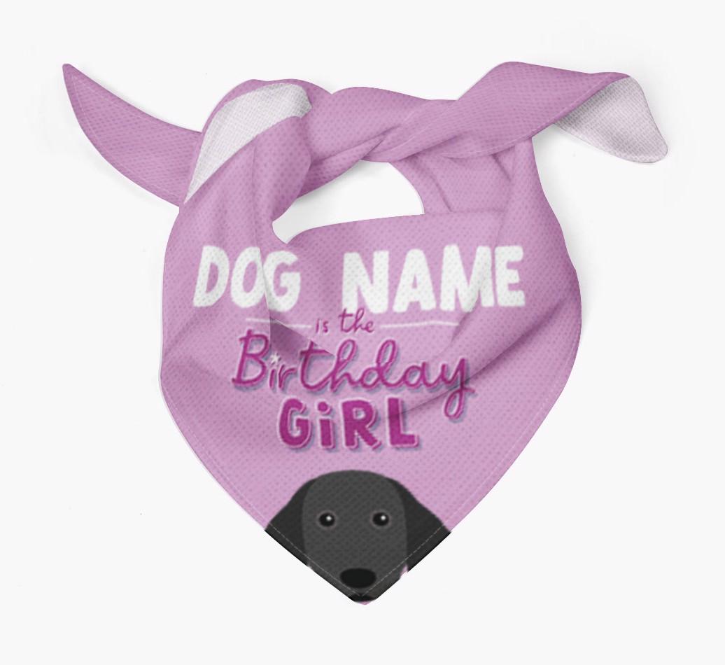 Birthday Girl: Personalized {breedFullName} Bandana