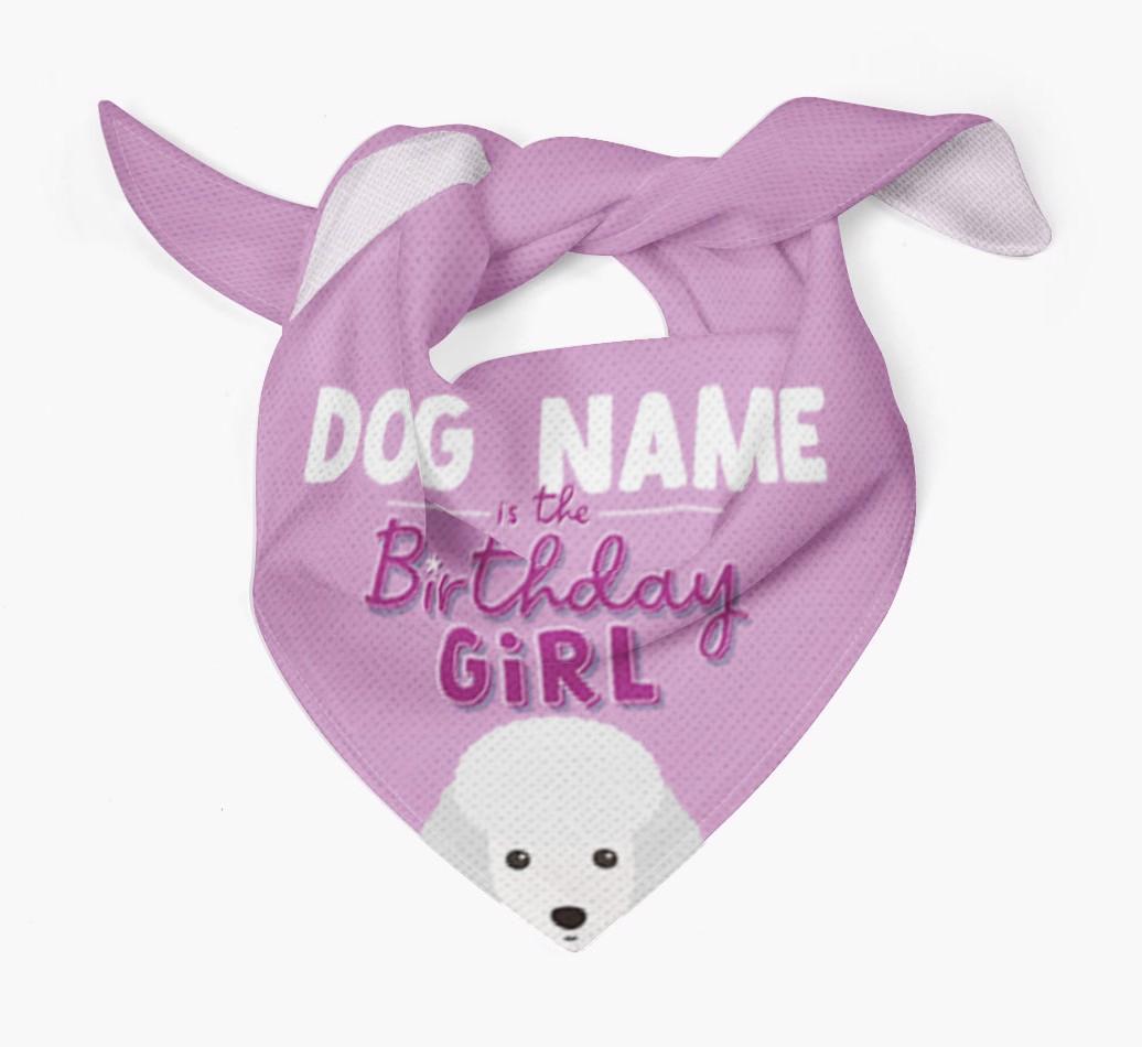 Birthday Girl: Personalized {breedFullName} Bandana