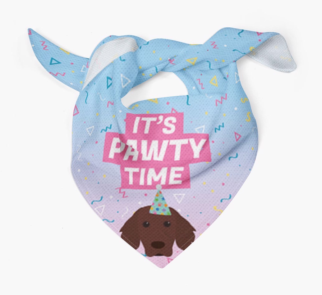 It's Pawty Time: Personalised {breedFullName} Bandana