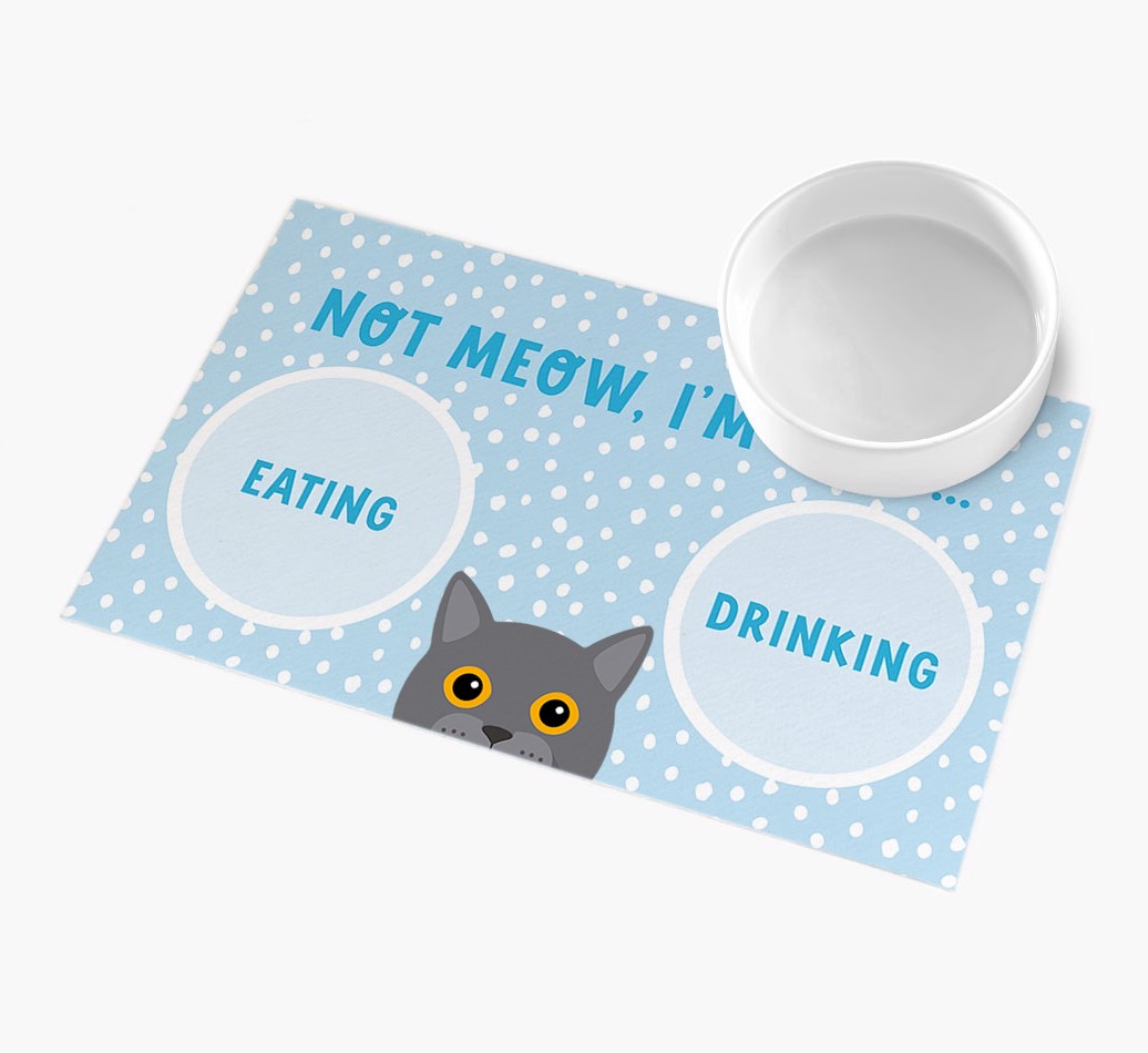 Not Meow, I'm Busy: Personalised {breedCommonName} Feeding Mat