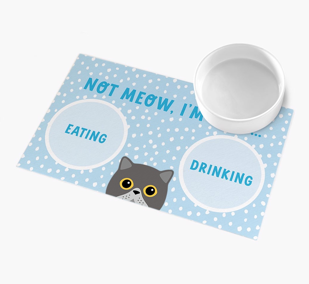 Not Meow, I'm Busy: Personalised {breedCommonName} Feeding Mat