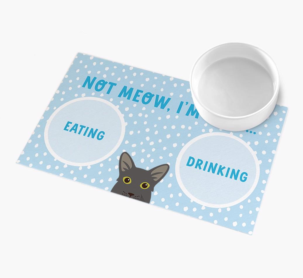 Not Meow, I'm Busy: Personalised {breedCommonName} Feeding Mat