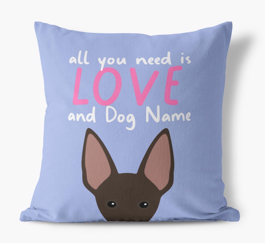 All You Need Is Love: Personalised {breedFullName} Canvas Cushion