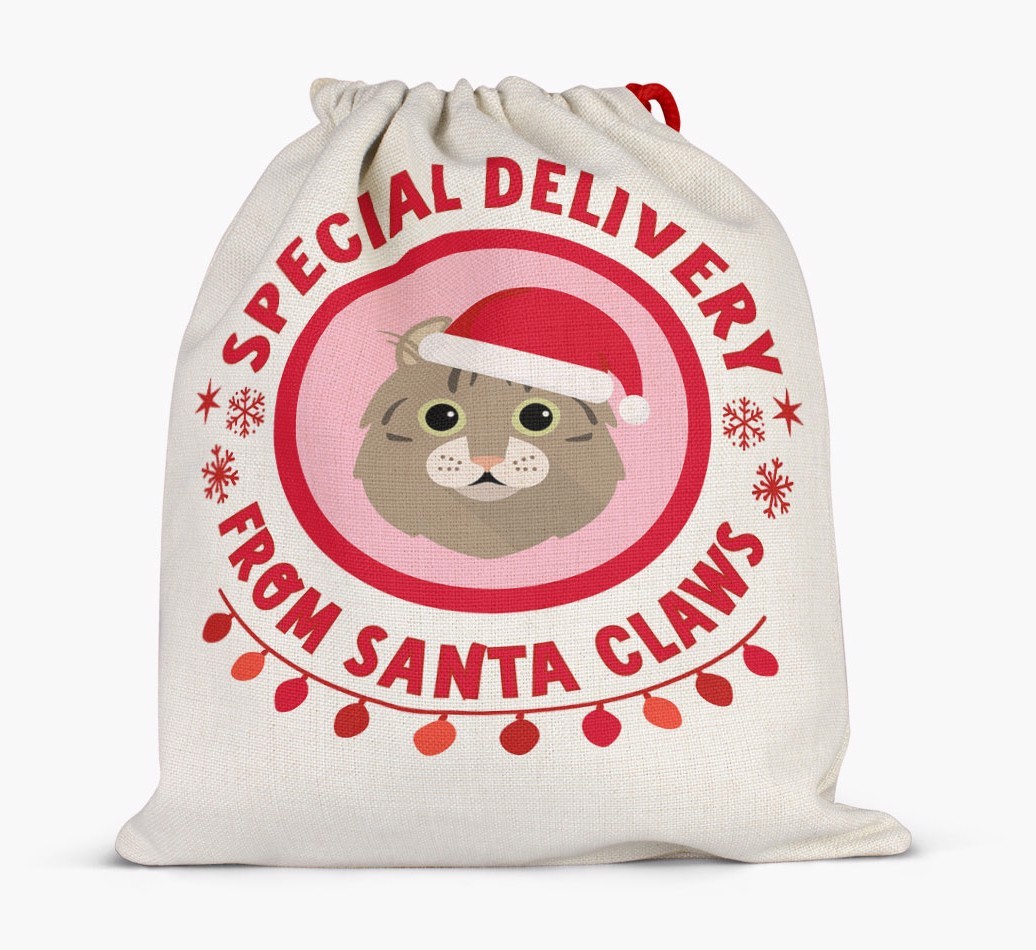 pecial Delivery: Personalised {breedCommonName} Santa Sack