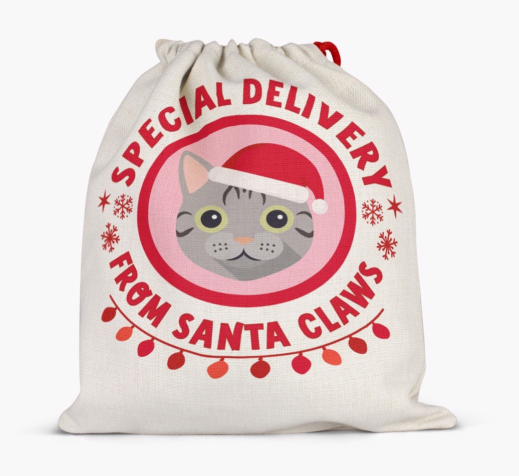 Special Delivery: Personalized {breedFullName} Santa Sack