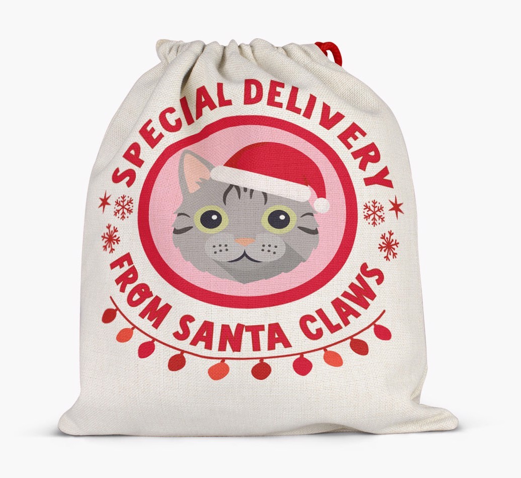 pecial Delivery: Personalised {breedCommonName} Santa Sack
