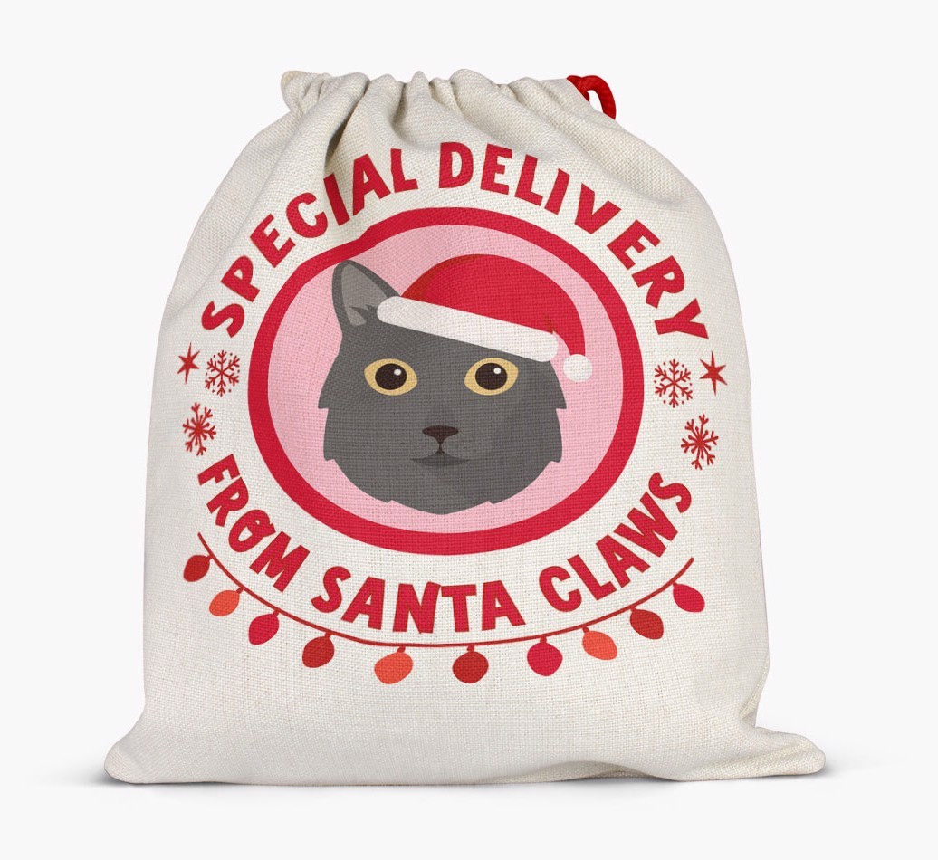 pecial Delivery: Personalised {breedCommonName} Santa Sack