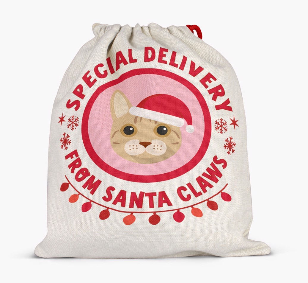 Special Delivery: Personalized {breedFullName} Santa Sack