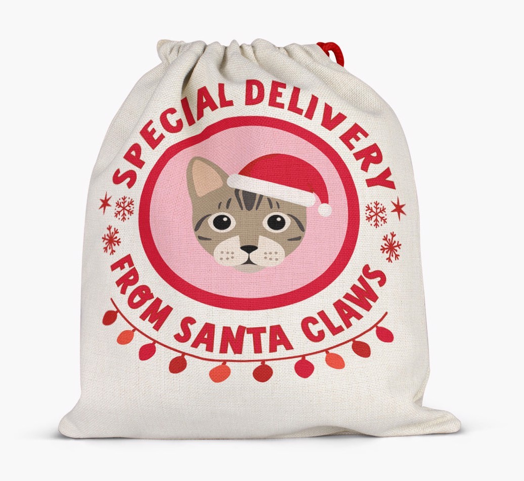 pecial Delivery: Personalised {breedCommonName} Santa Sack