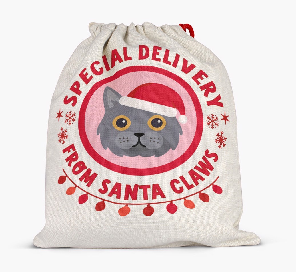 pecial Delivery: Personalised {breedCommonName} Santa Sack