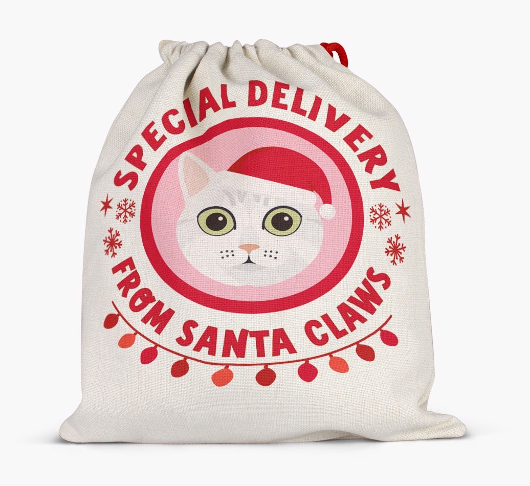 pecial Delivery: Personalised {breedCommonName} Santa Sack