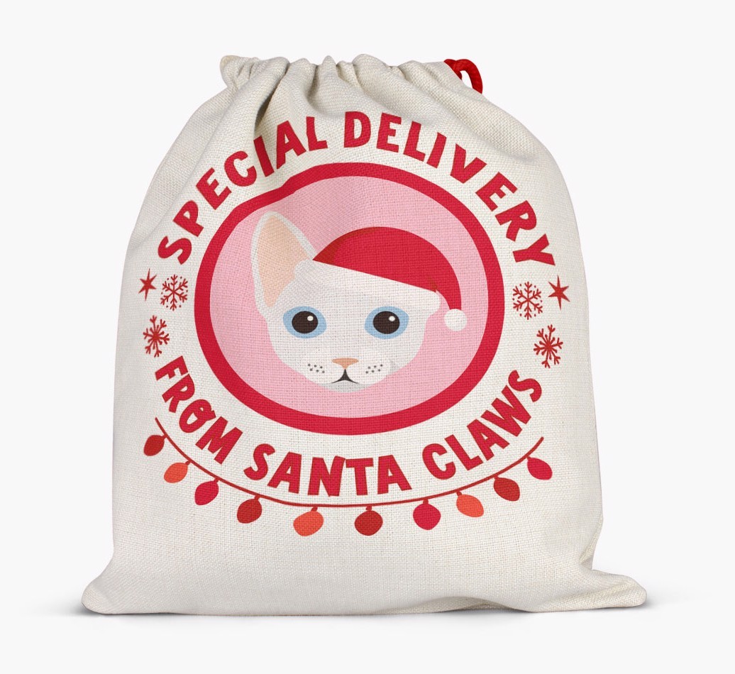 pecial Delivery: Personalised {breedCommonName} Santa Sack