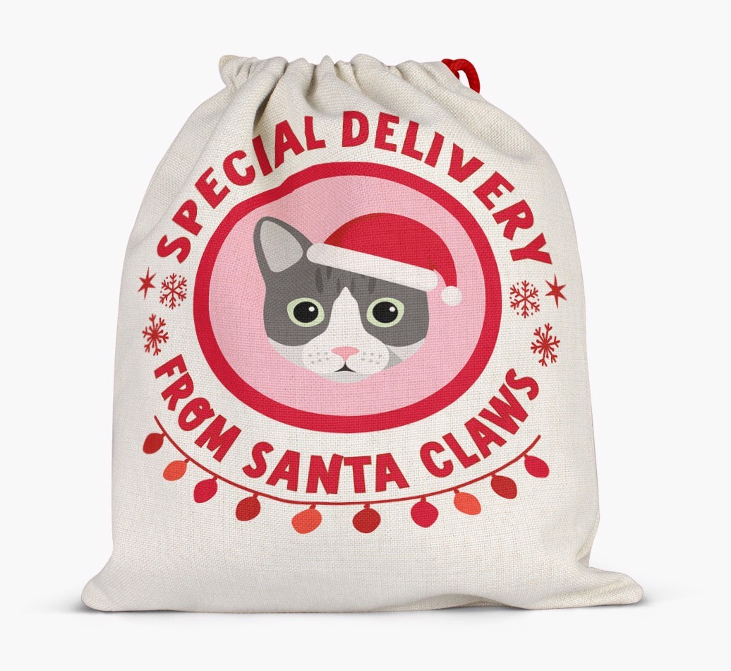 pecial Delivery: Personalised {breedCommonName} Santa Sack