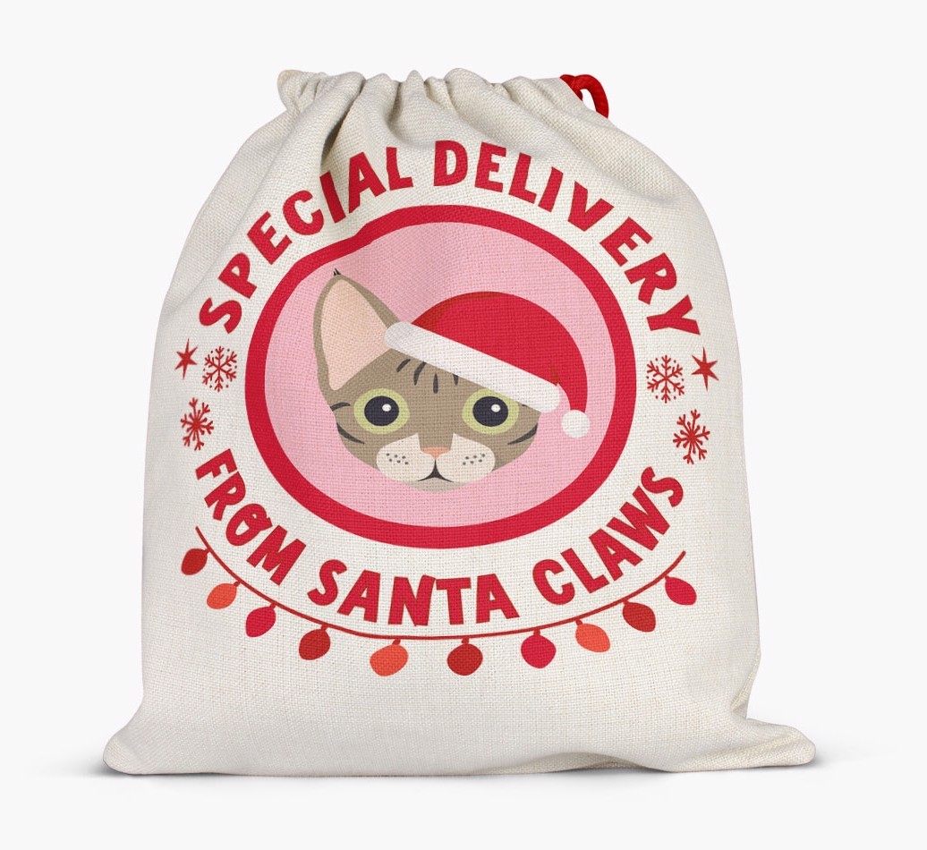 pecial Delivery: Personalised {breedCommonName} Santa Sack