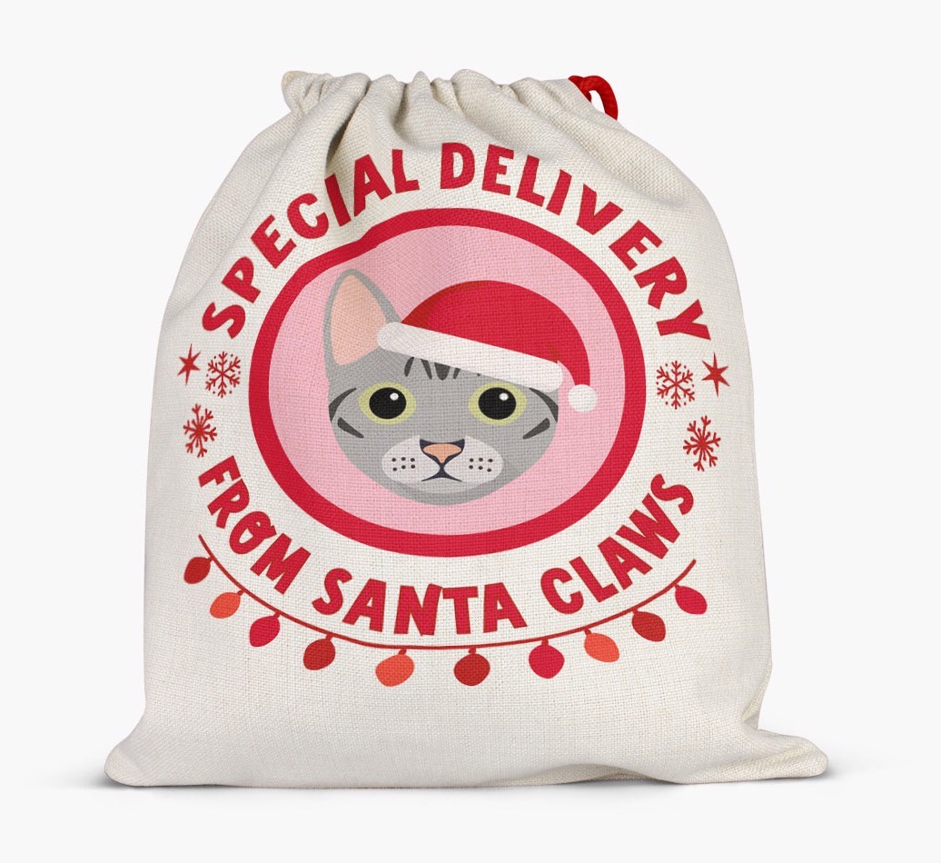 pecial Delivery: Personalised {breedCommonName} Santa Sack