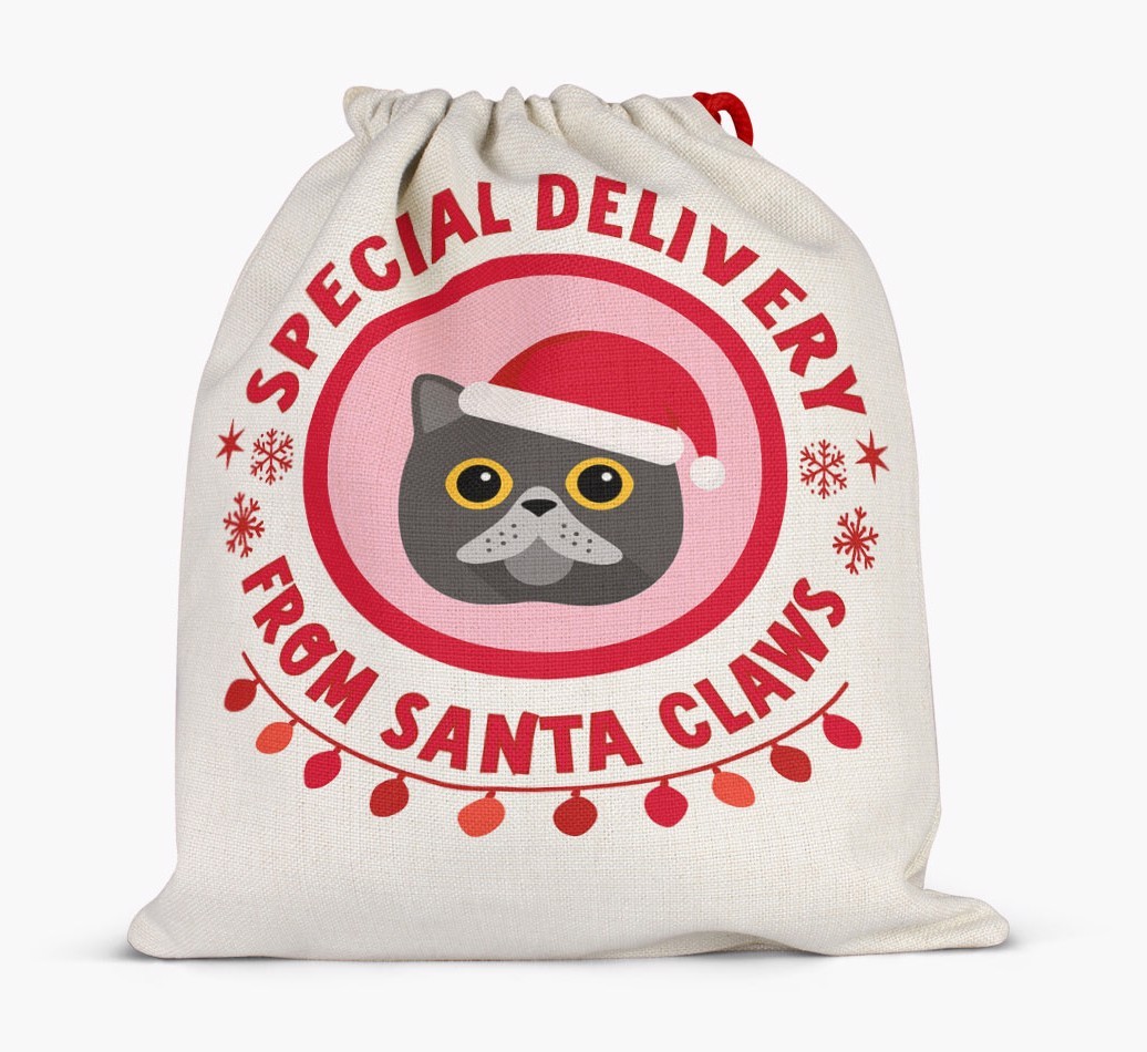 Special Delivery: Personalized {breedFullName} Santa Sack