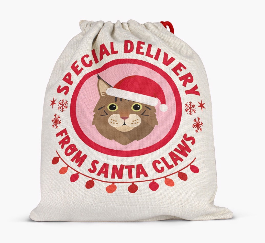 pecial Delivery: Personalised {breedCommonName} Santa Sack