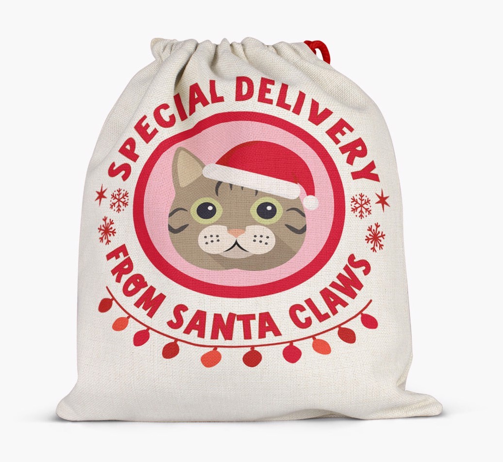 pecial Delivery: Personalised {breedCommonName} Santa Sack