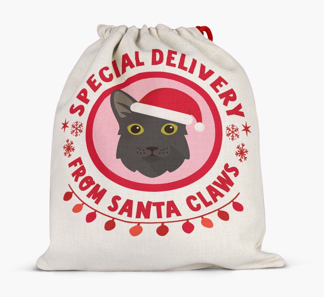 pecial Delivery: Personalised {breedCommonName} Santa Sack