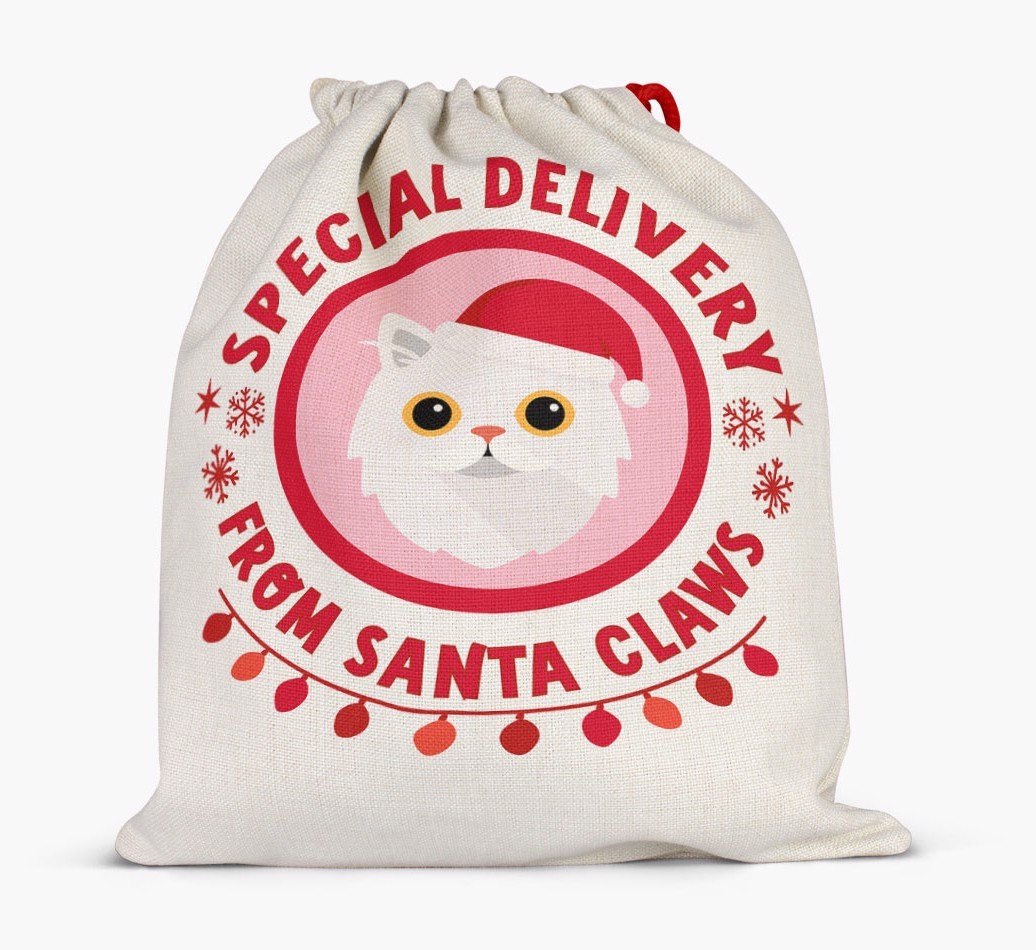 pecial Delivery: Personalised {breedCommonName} Santa Sack