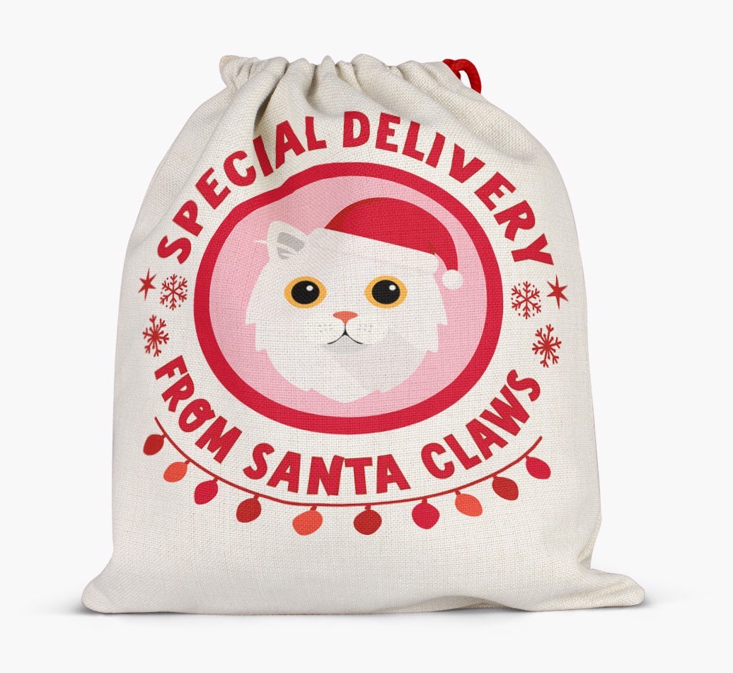 pecial Delivery: Personalised {breedCommonName} Santa Sack