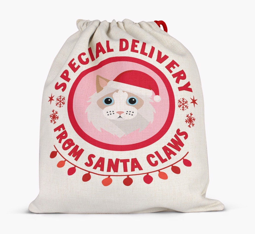 pecial Delivery: Personalised {breedCommonName} Santa Sack