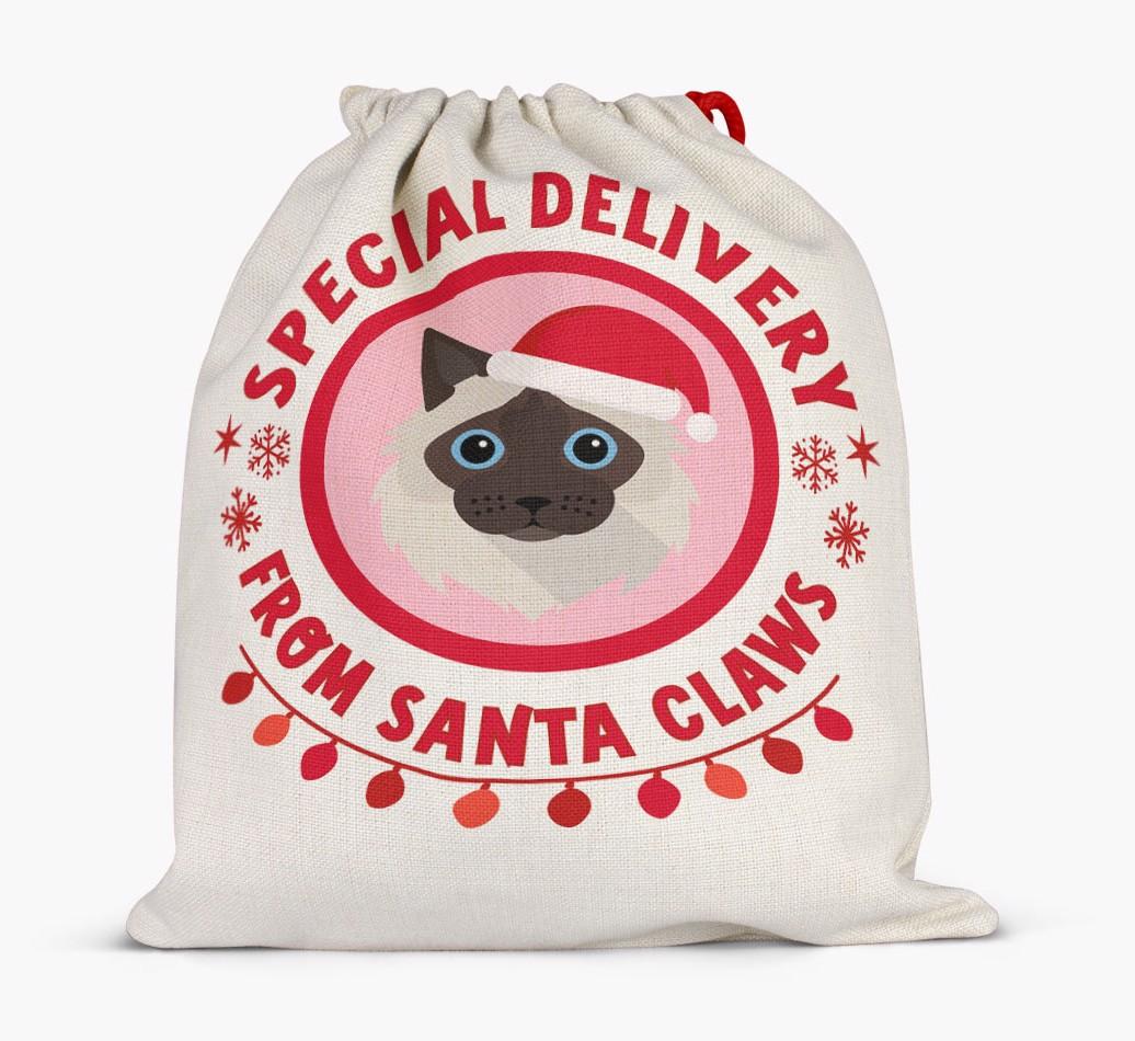 Special Delivery: Personalized {breedFullName} Santa Sack