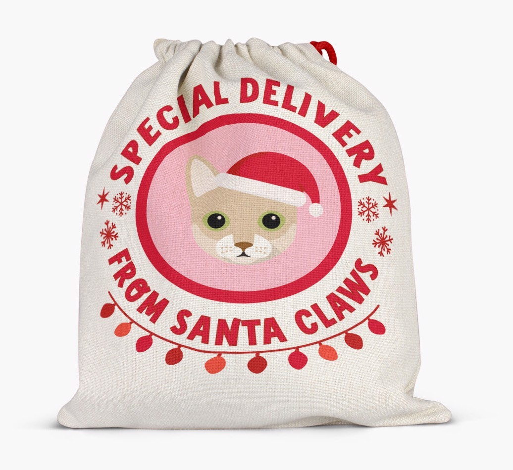 Special Delivery: Personalized {breedFullName} Santa Sack