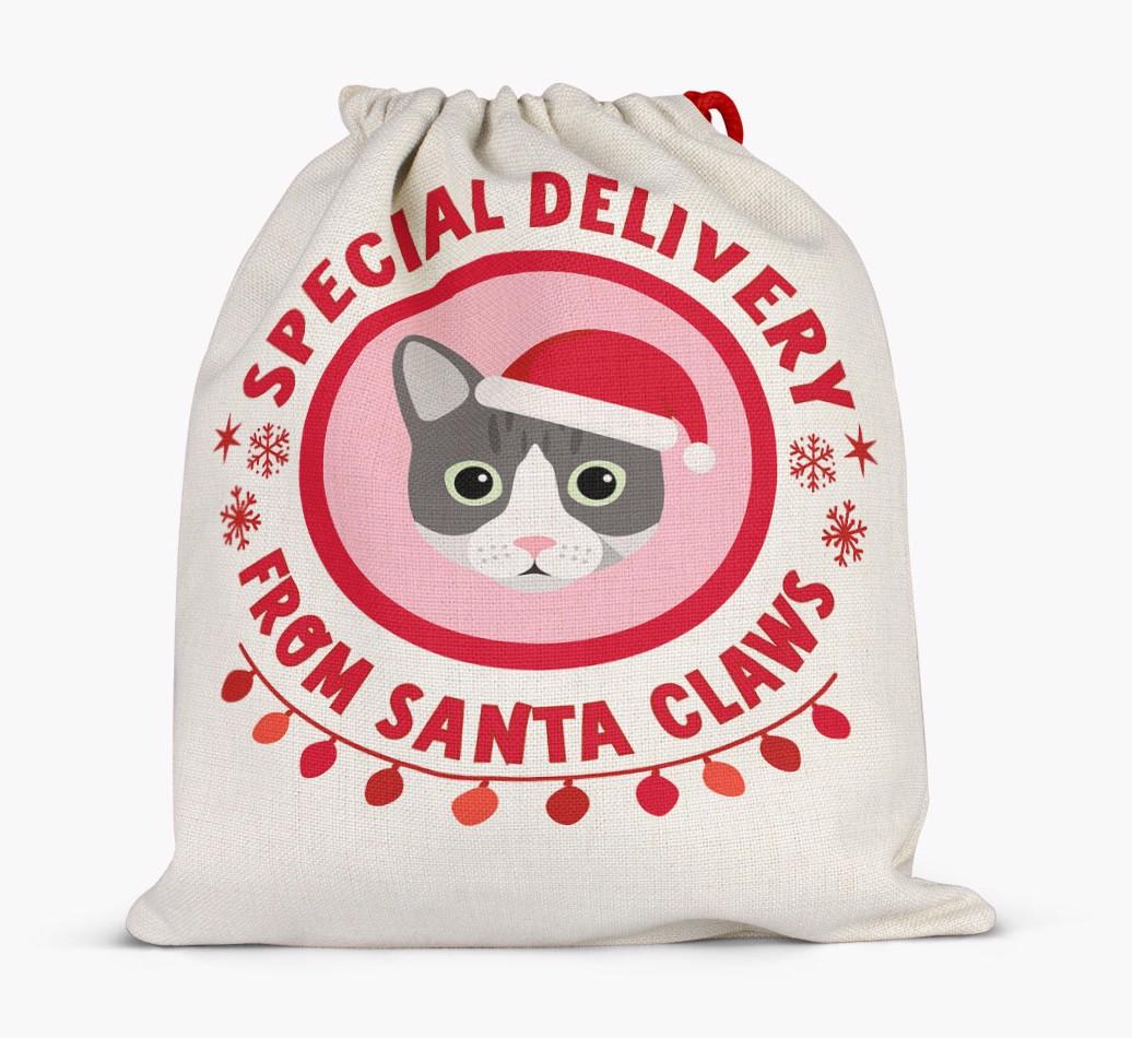 pecial Delivery: Personalised {breedCommonName} Santa Sack