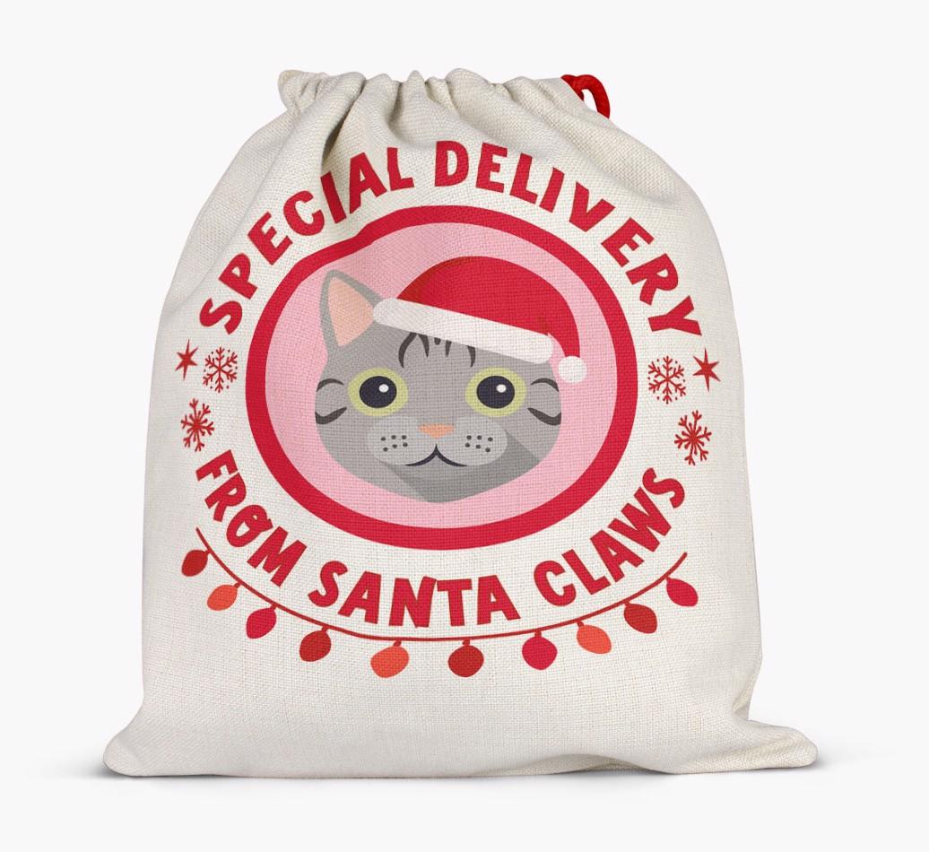 pecial Delivery: Personalised {breedCommonName} Santa Sack