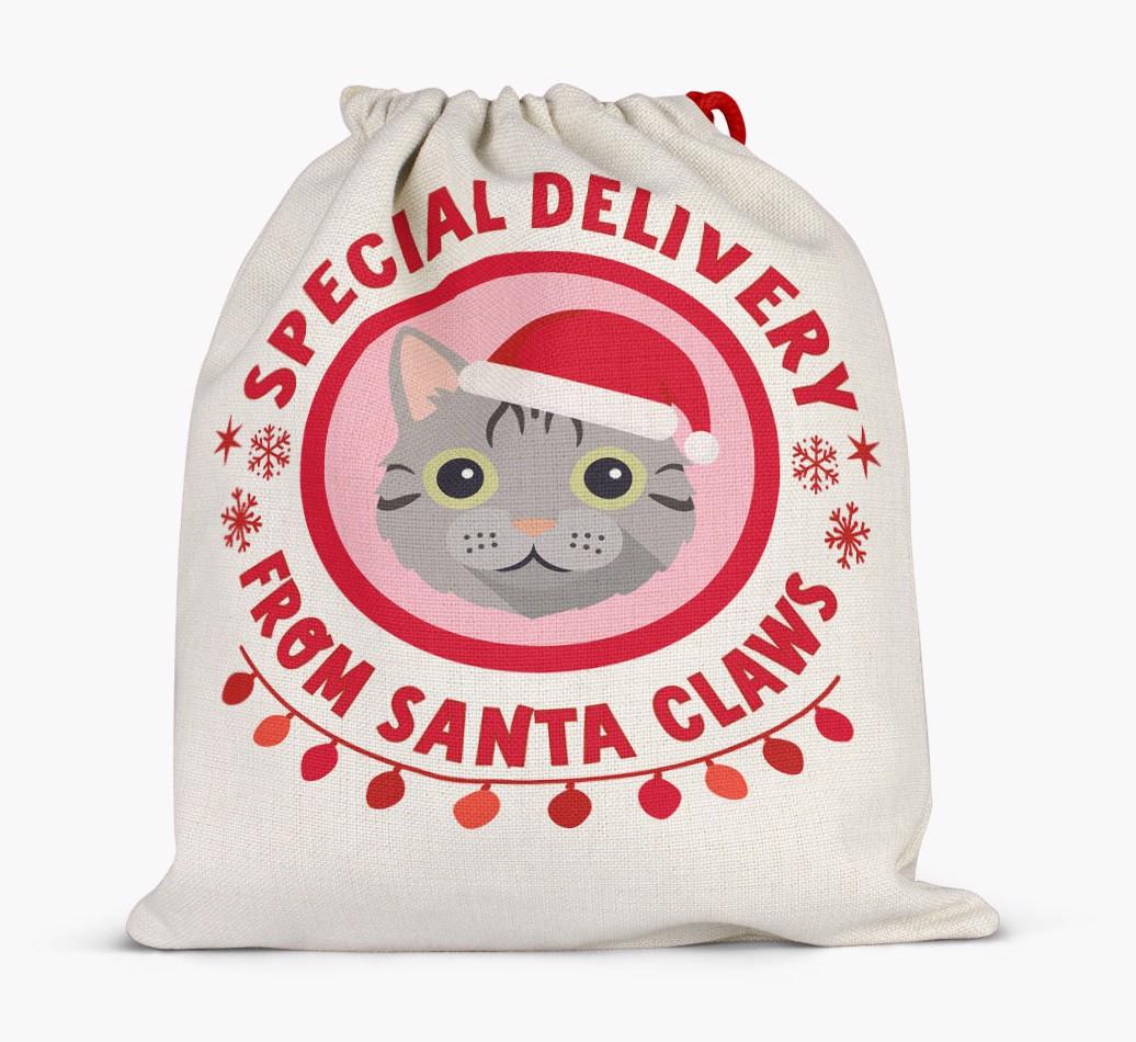 pecial Delivery: Personalised {breedCommonName} Santa Sack