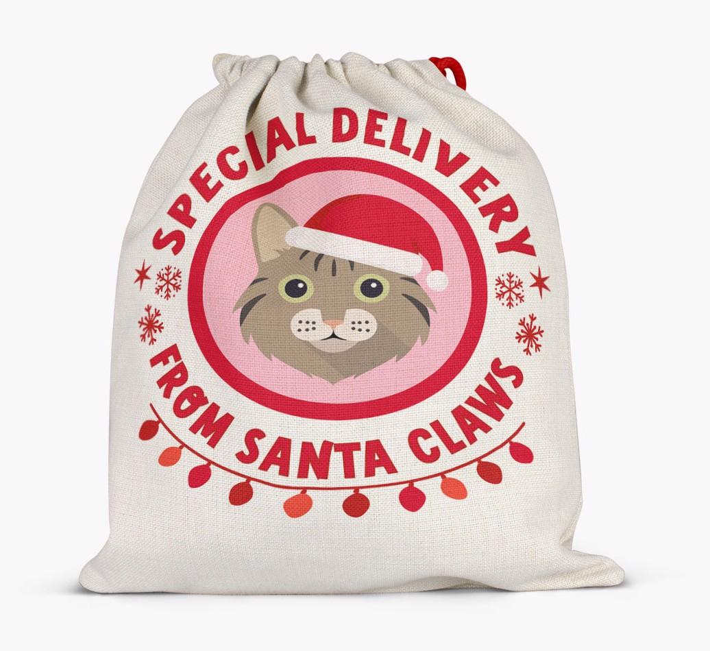 pecial Delivery: Personalised {breedCommonName} Santa Sack