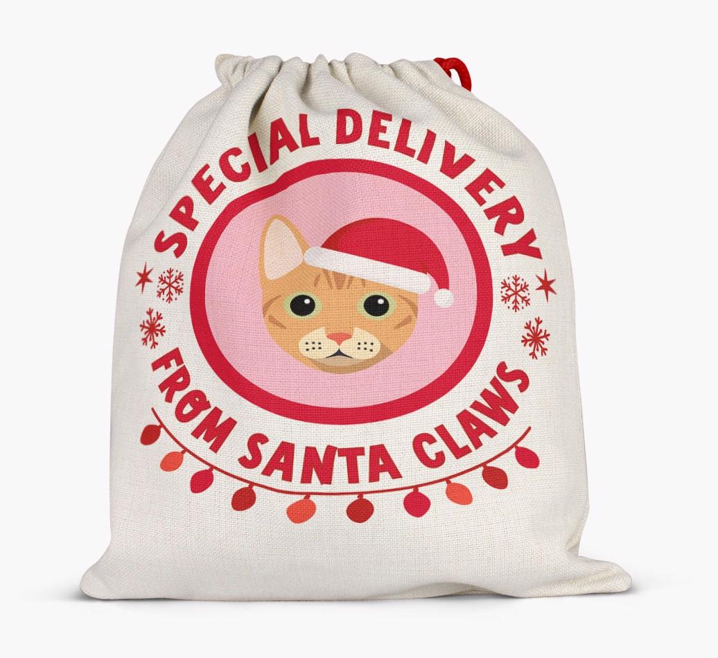 pecial Delivery: Personalised {breedCommonName} Santa Sack
