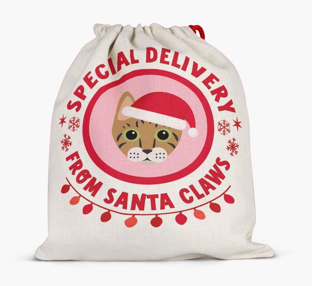 pecial Delivery: Personalised {breedCommonName} Santa Sack