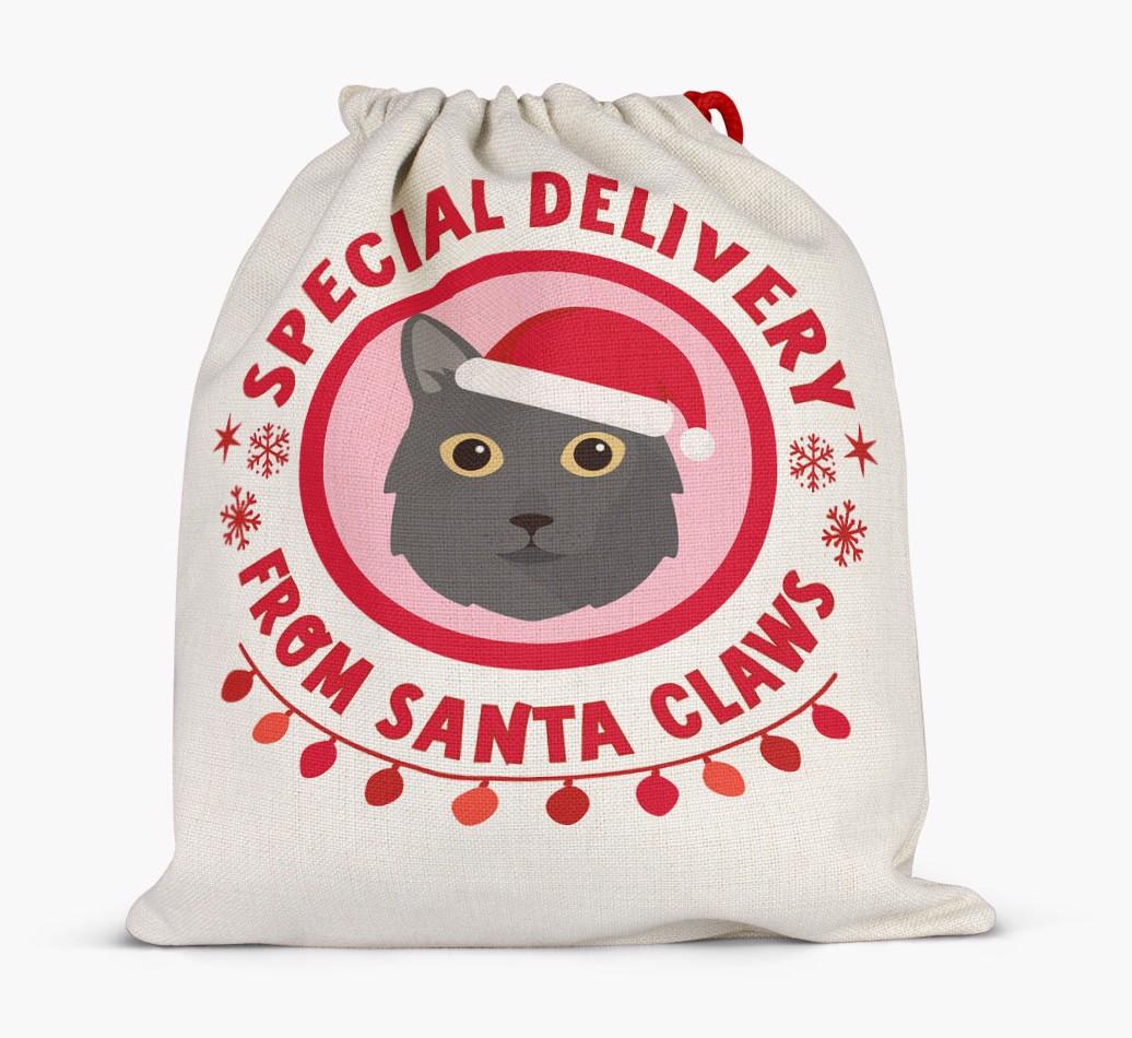 pecial Delivery: Personalised {breedCommonName} Santa Sack