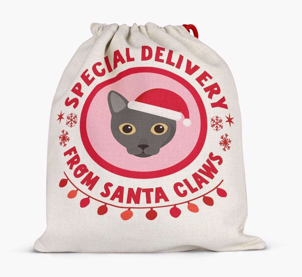 pecial Delivery: Personalised {breedCommonName} Santa Sack