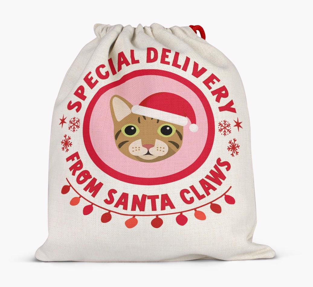 pecial Delivery: Personalised {breedCommonName} Santa Sack