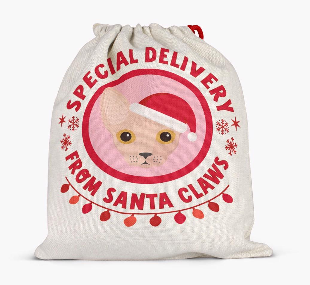 pecial Delivery: Personalised {breedCommonName} Santa Sack