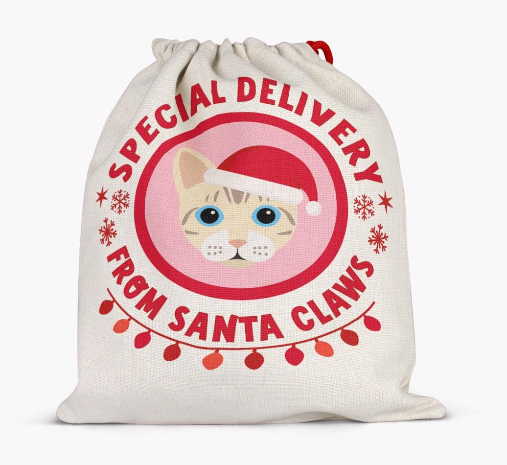 pecial Delivery: Personalised {breedCommonName} Santa Sack
