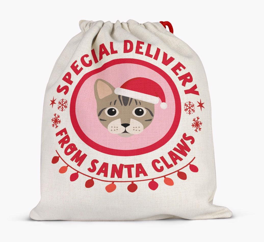 pecial Delivery: Personalised {breedCommonName} Santa Sack