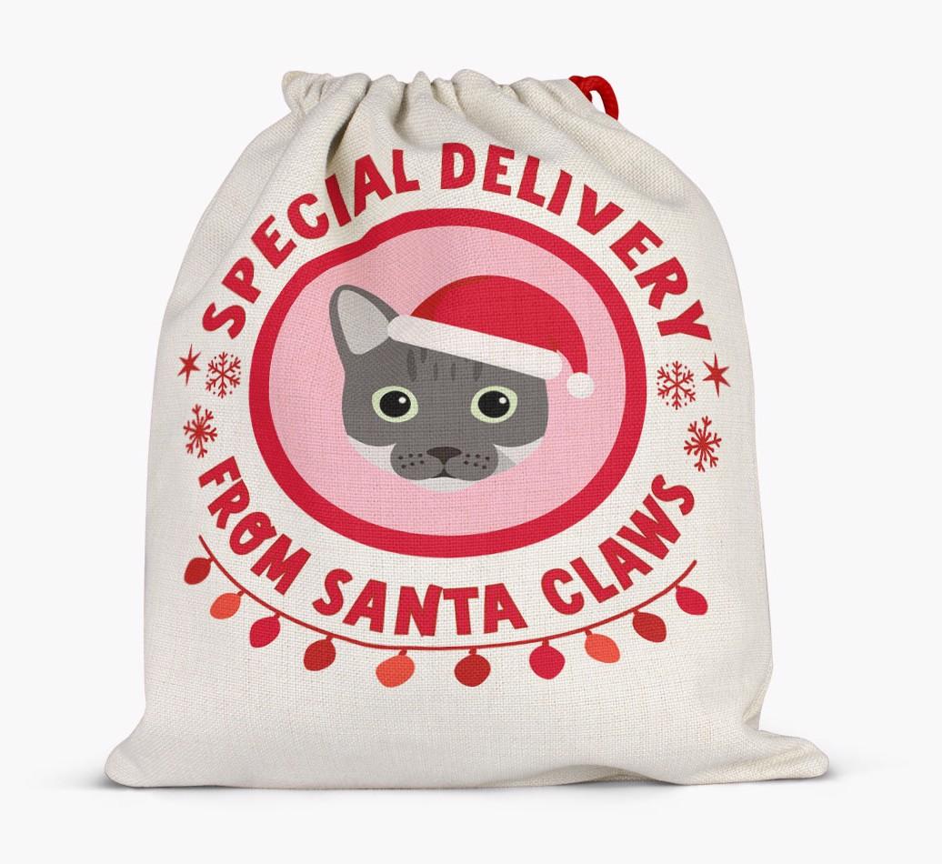 pecial Delivery: Personalised {breedCommonName} Santa Sack
