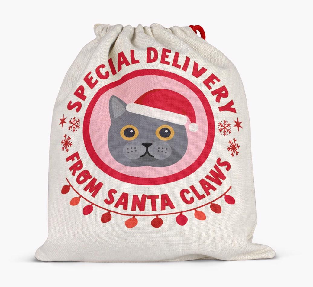 pecial Delivery: Personalised {breedCommonName} Santa Sack